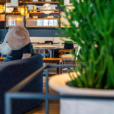 Novotel Centre מלון ריימס